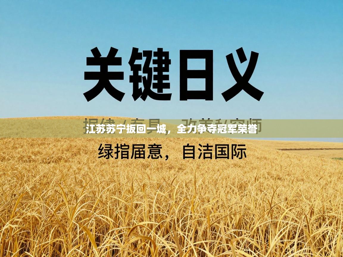 江苏苏宁扳回一城，全力争夺冠军荣誉  第2张